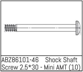 ABSIMA Shock Shaft Screw 2.5*30 - Mini AMT (10 St.) /...