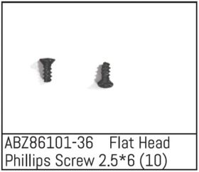 ABSIMA Flat Head Phillips Screw 2.5*6 - Mini AMT (10 St.)...