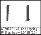 ABSIMA Self-tapping Phillips Screw 2.5*18 - Mini AMT (10 St.) / ABZ86101-41