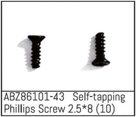 ABSIMA Self-tapping Phillips Screw 2.5*8 - Mini AMT (10...