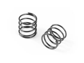 XRAY XLP SPRING-SET C=2.5 (2) / XRA308175