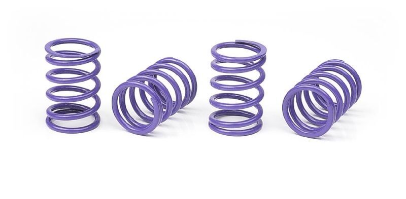 XRAY Federn-Satz Ø1,7mm, 28LB, medium (Violett) / XRA308396