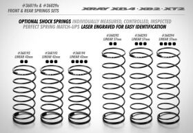 XRAY Federn Set hinten L=57mm 4 Punkt (2) / XRA368294