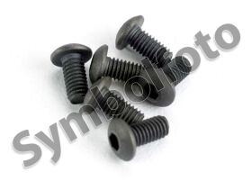 MODSTER V2/XC-Maximum: Maden-Schrauben Set M4x10 (6) /...