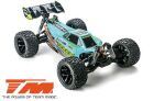 Team Magic Auto 1/8 XL elektrisch 4WD Truggy RTR 2500kv Brushless Motor 4S Wasserdicht TEKEN Blau/Grün / TM560020B