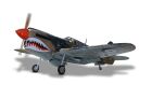 Phoenix P40 Warhawk GP/EP 35-55CC ARF Carbon - 204 cm / PH216