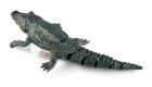 AMEWI / Croco das kleine Krokodil 370mm 4-Kanal RTR / 26115