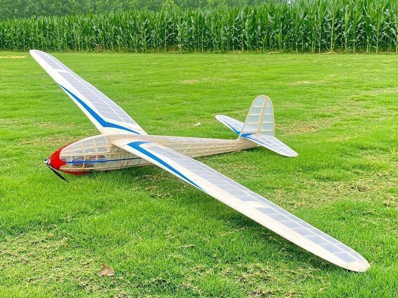 PICHLER Lippisch G108 / 2750 mm / 18018