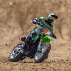 LOSI 1/4 Promoto-MX Motorcycle RTR mit Battery und Charger Pro Circuit / LOS06002
