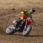 LOSI 1/4 Promoto-MX Motorcycle RTR Club MX / LOS06000T2