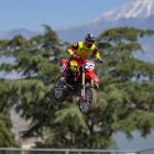 LOSI 1/4 Promoto-MX Motorcycle RTR Club MX / LOS06000T2