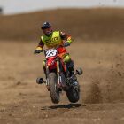LOSI 1/4 Promoto-MX Motorcycle RTR Club MX / LOS06000T2