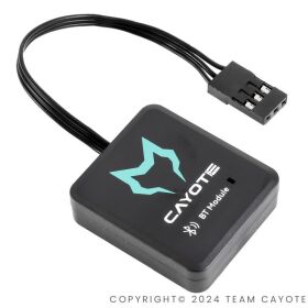 Team CAYOTE B-Tune Bluetooth Module / CACBM01