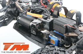 Team Magic Auto 1/8 elektrisch 4WD EP Buggy Beetle Baja...