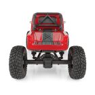 Element RC Enduro12 Trail Truck, Ecto RTR / AE40010C