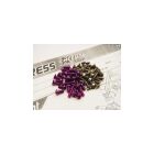 Hiro Seiko Execute XQ11HR Titan/Alloy Hex Socket Screw Set [Purple] (128pcs) / HS-48951