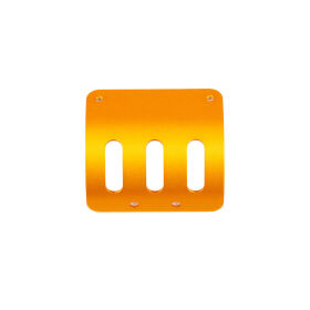 Team Associated RC10 MOTOR GUARD, GOLD / AE6322