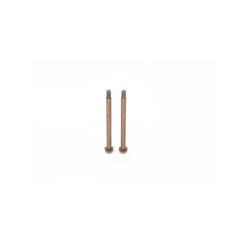 RC-Project Rear Hub Carrier Hinge Pin for Team Associated RC8B4 | RC8B3.2 / RCPJ-AEB3.2-019