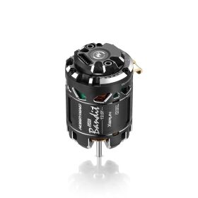 Hobbywing Xerun Bandit Brushless Motor G4R OBL 13.5T 3800kV / HW30401861