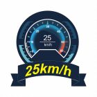 JOYSWAY Schiff E1 Racebird 1:14 RTR Hydrofoil 545mm Team Rafa / JW8608RAFA