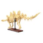 CaDA CaDA Set C59012W Dinosaurier Fossil Stegosaurus Bricks / 402889