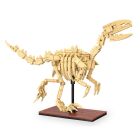 CaDA CaDA Set C59014W Dinosaurier Fossil Velociraptor Bricks / 402891