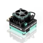 CAYOTE für 1/10 CREST RS120 Brushless-Regler Competition sensored / CYEA11002