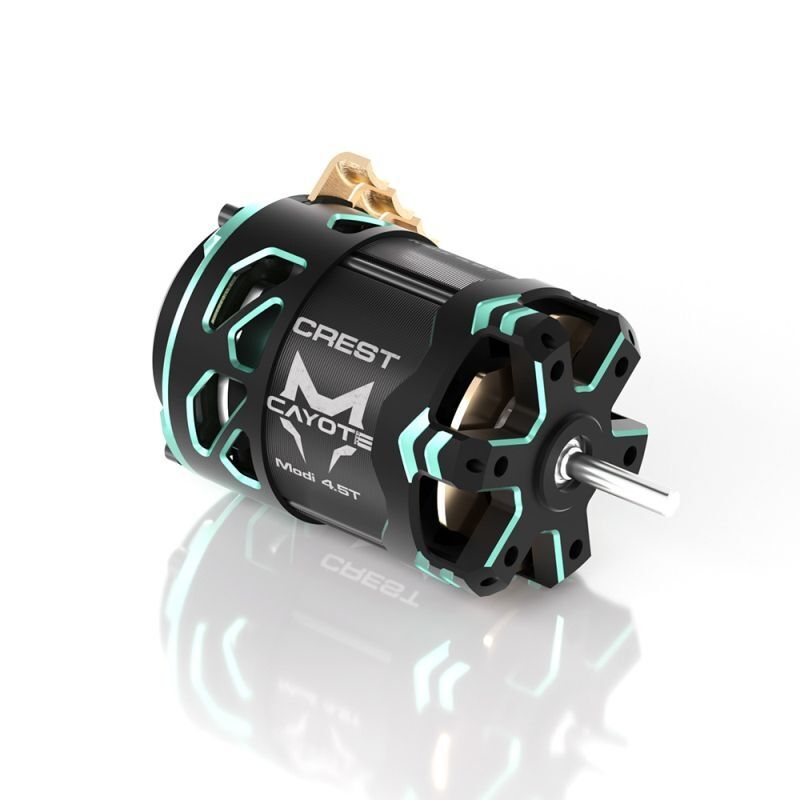 CAYOTE für 1/10 CREST Modified 9.5T Sensored Brushless Motor / CYEB11018
