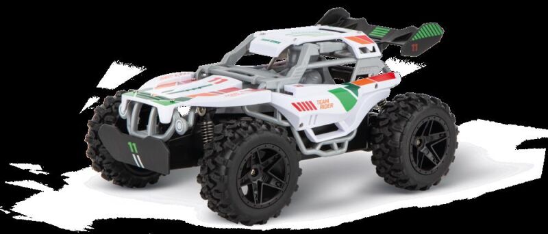 Carrera RC Ferngesteuertes Auto 2,4GHz Team Rider / 370200003