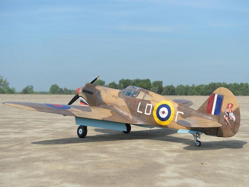 Black Horse P-40C Tomahawk / 2276mm (2. Wahl) / C4951-1