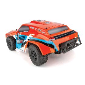 Team Associated Pro2 DK10SW Dakar Buggy RTR