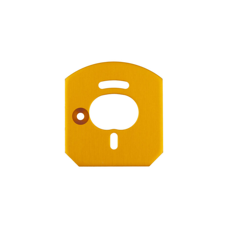 Team Associated 6x6 Motor Mount Plate, Gold / AE31953