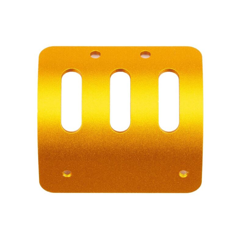 Team Associated RC10 89 Car Motor Guard, Gold / AE6762