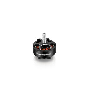 Hobbywing XRotor 2207 D28x19 D5 1980kV 6s Lipo / HW30418010