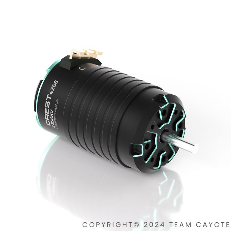CAYOTE für 1/8 1/8 CREST 4268 2400KV Brushless Motor / CYEB10804