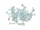 Pichler Linsenkopfschraube 2.2*13 (VE=50St.) / 16376