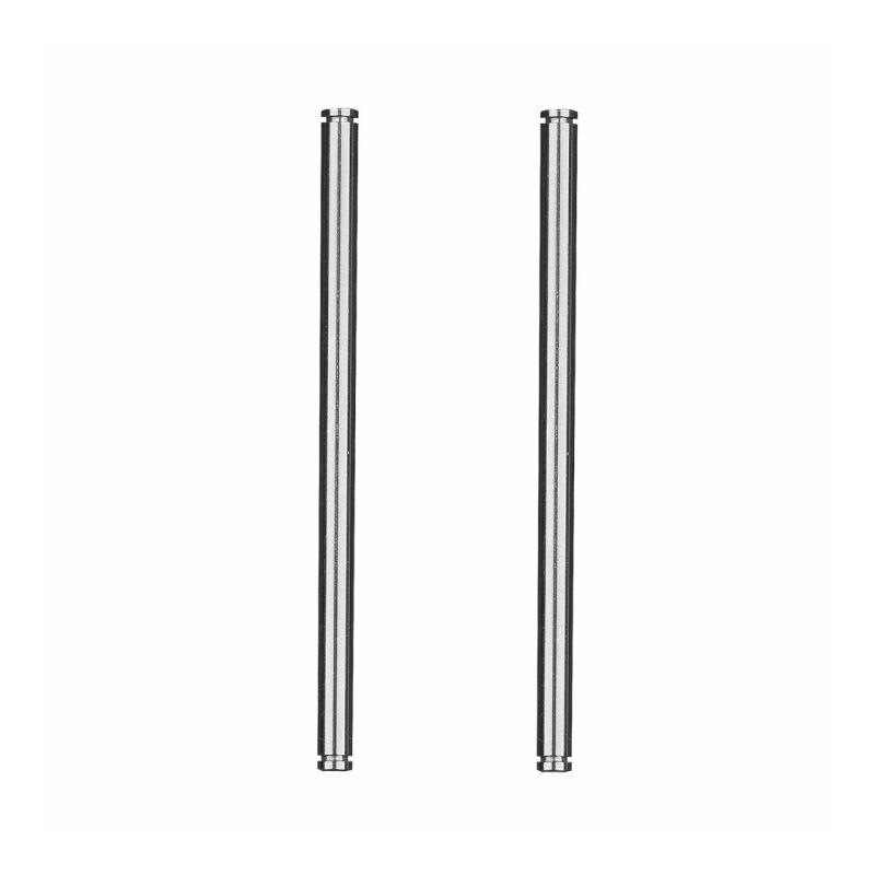 Team Associated RC10 91 Stealth Car Rear Inner Hinge Pins / AE6784