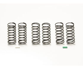 2WD Federn-Set vorn BigBore Aeration / 300054507