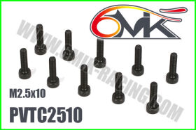 6MIK CHC Screw M2,5x10 (10 pcs) / PVTC2510