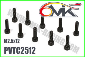 6MIK CHC Screw M2,5x12 (10 pcs) / PVTC2512