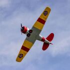 E-Flite SNJ-5/AT-6 Texan 1.5m Warbird PNP / EFL08775
