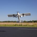 E-FLITE Timber 10-year Anniversary Edition PNP / EFL-3353
