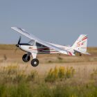 E-FLITE Timber 10-year Anniversary Edition PNP / EFL-3353