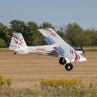 E-FLITE Timber 10-year Anniversary Edition PNP / EFL-3353