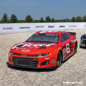 Losi NASCAR RC Race Car Dale Earnhardt Jr. No. 8 Budweiser Chevrolet ZL1 1:12 2S AWD RTR, inkl. Akku & Ladegerät, rot / LOSF1122508