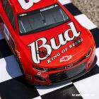 Losi NASCAR RC Race Car Dale Earnhardt Jr. No. 8 Budweiser Chevrolet ZL1 1:12 2S AWD RTR, inkl. Akku & Ladegerät, rot / LOSF1122508