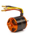 Spektrum Avian Brushless Outrunner Motor 4260-480Kv 14-polig / SPMXAM4715