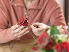 Revell Holzblumen Dream of Roses Holzbausatz / 631