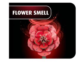 Revell Holzblumen Dream of Roses Holzbausatz / 631