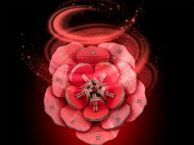 Revell Holzblumen Dream of Roses Holzbausatz / 631